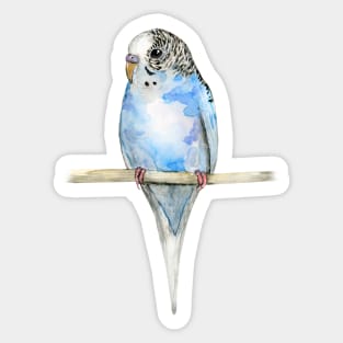 Blue spotted budgerigar watercolor Sticker